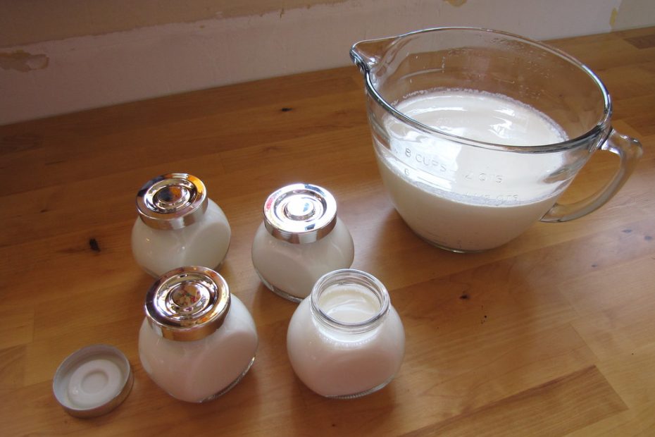 yogurt vs sour cream